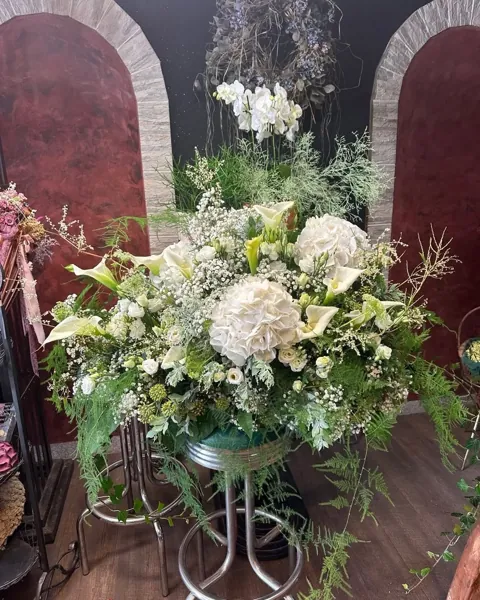 Blumen zur Geburt von Eva Blumen